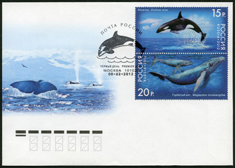 Fototapeta premium RUSSIA - 2012: shows Humpback Whale and Killer Whale