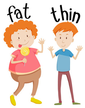 Opposite adjectives fat and thin