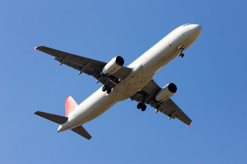 Fototapeta na wymiar Airbus A321-100 Landing shot