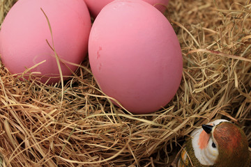 pink pickled preserved egg