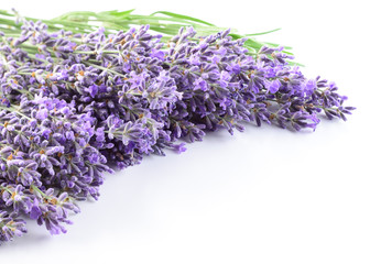 Lavender flowers background.