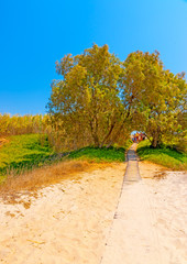 the way to the sea at Tam - Tam beach near Kardamaina village in Kos island in Greece