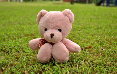 Bear doll sit on the grass