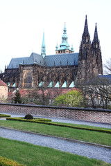 Fototapeta premium Evening View on gothic St. Vitus' Cathedral on Prague Castle, Czech Republic