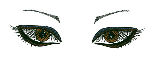 Drawn eyes.Graphic style. Brown eyes