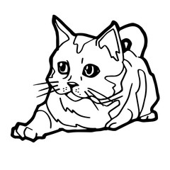 cartoon Cat Coloring Page for kid isolated on white 
