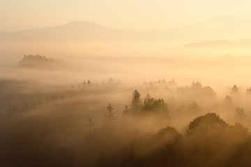 Foggy morning in a Czech republic. Golden rays on are shining at the forest. Nature background early morning