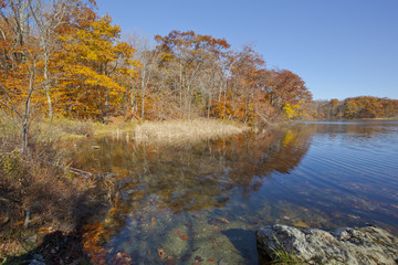 Fototapeta na wymiar An autumn view of Berry Pond in the Berkshire Mountains of Western Massachusetts.