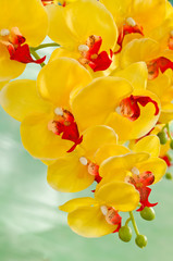 Artificial yellow orchid flower