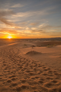Caravan footprints in the Sahara