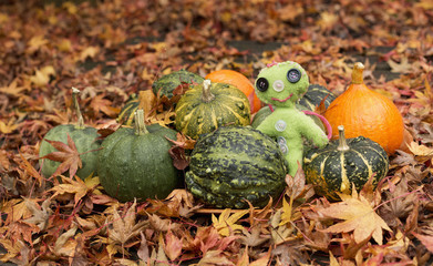 Small decorative pumpkins on the fallen leaves with green doll