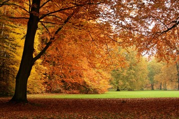 In Bunt