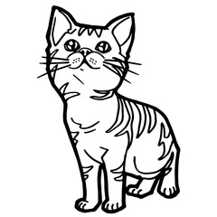 Fototapeta na wymiar cartoon Cat Coloring Page for kid isolated on white 