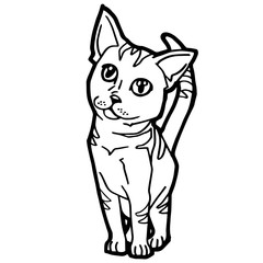 cartoon Cat Coloring Page for kid isolated on white 
