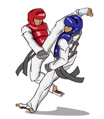 Taekwondo. Martial art