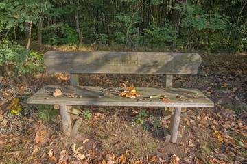 Holzbank in der Dahlener Heide