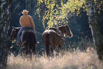 Ritt nach Hause, Mädchen mit 2 Pferden im Birkenwald