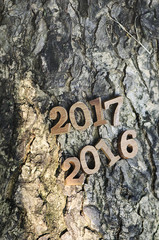 Happy New Year 2016, nature concept and wood number idea