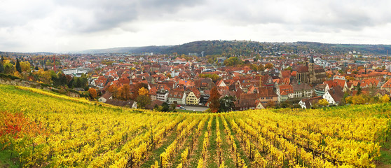 Panorama von Esslingen am Neckar im Herbst - Aussicht vom Seilergang