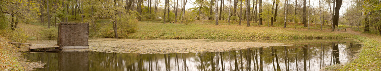 Autumn pond