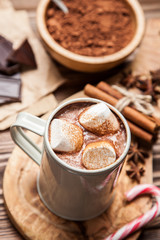 Cocoa drink with marshmallows