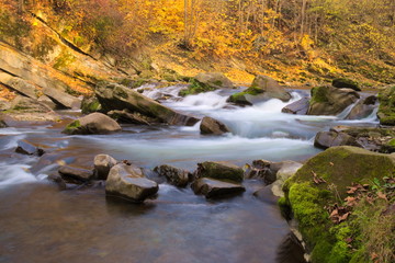 Autumn river