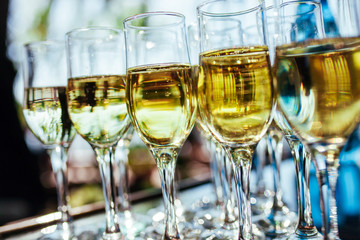 Elegant glasses with champagne standing in a row on serving tabl