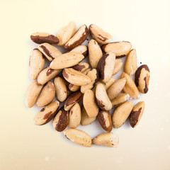 Brazil nut