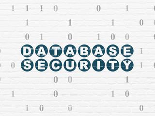 Privacy concept: Database Security on wall background