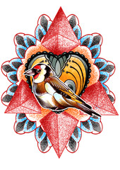 Cardellino illustratio watercolor digital paint