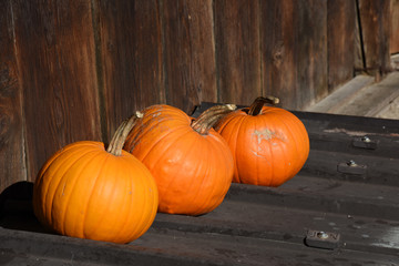 zucca zucche decorare le zucche zucche arancioni halloween