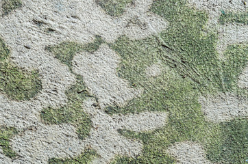 Closeup dirty concrete floor with water moss texture background