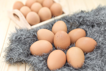 eggs on wool background