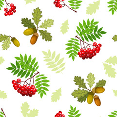 Vector seamless pattern with oak and rowan branches, leaves and berries on a white background.