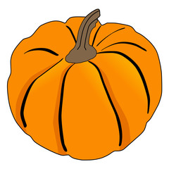 pumpkin, autumn vegetable