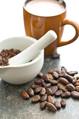 cocoa drink and cocoa beans