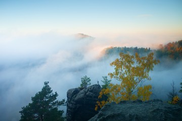 Land of fog. View through branches to dreamy deep misty valley within daybreak. Foggy and misty morning landscape