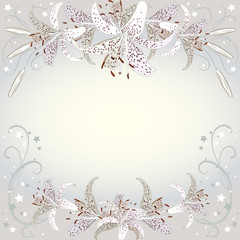 Floral background of white lilia flowers.  Floral copy-space