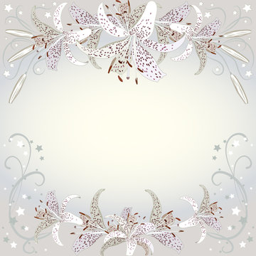 Floral background of white lilia flowers.  Floral copy-space