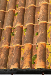 Mousse sur toiture en tuile ancienne