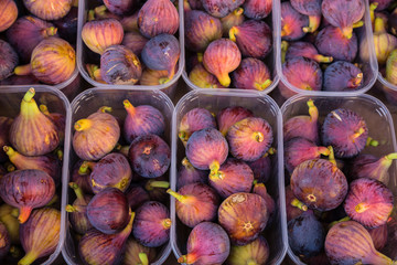 Greek fresh figs purple and juicy ready for sale