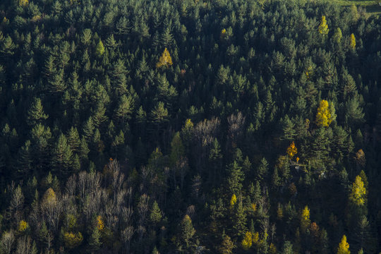 Autumn in Setcases, Pyrennees, Girona