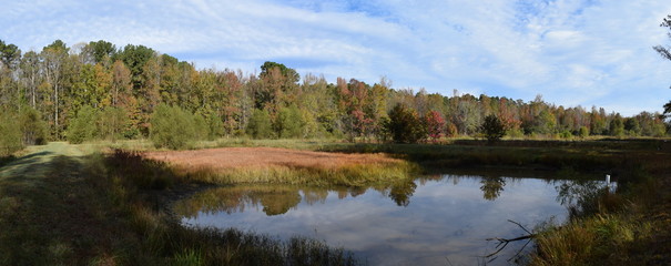 Ponds in fall in Mississippi