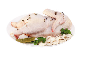 Куриная тушка на белом фоне