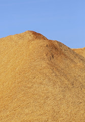 Fototapeta na wymiar Wood Chips Sawdust Pile Vertical