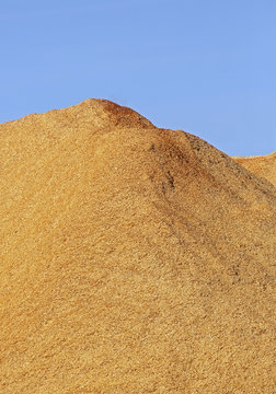 Wood Chips Sawdust Pile Vertical