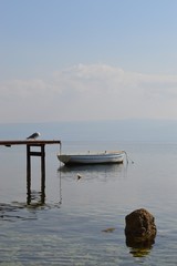 Seagull, boat, stone and the sea