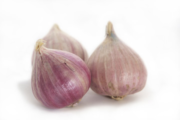 Garlic/Close up fresh garlic on white paper background.