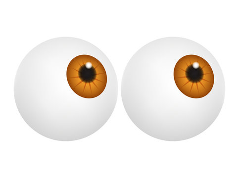 Eyeball with hazel pupil, iris. Realistic human body part set. Vector illustration isolated on white background.