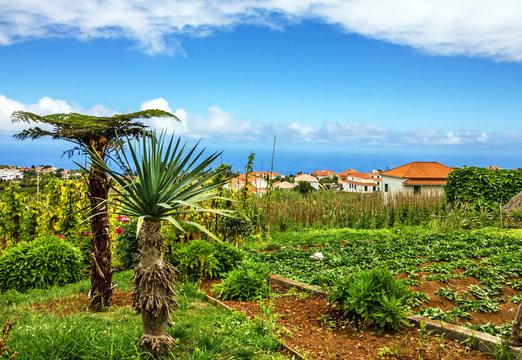 Madeira island, Portugal rural scenery, Village Santana